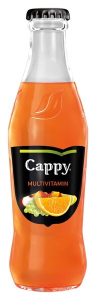 Cappy multivitamín sklo 0,25L (prepravka 24x)