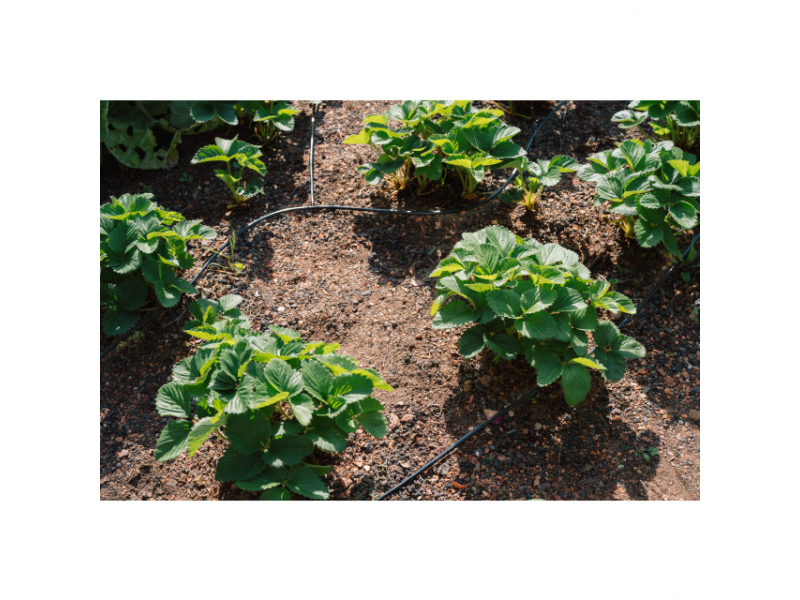 Zavlažovací sada pro květináče a truhlíky, 15 m hadice Obrázek