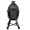 QUATROLT barbecue ceramique kamado 11 transparent
