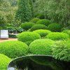 image 5684 1600