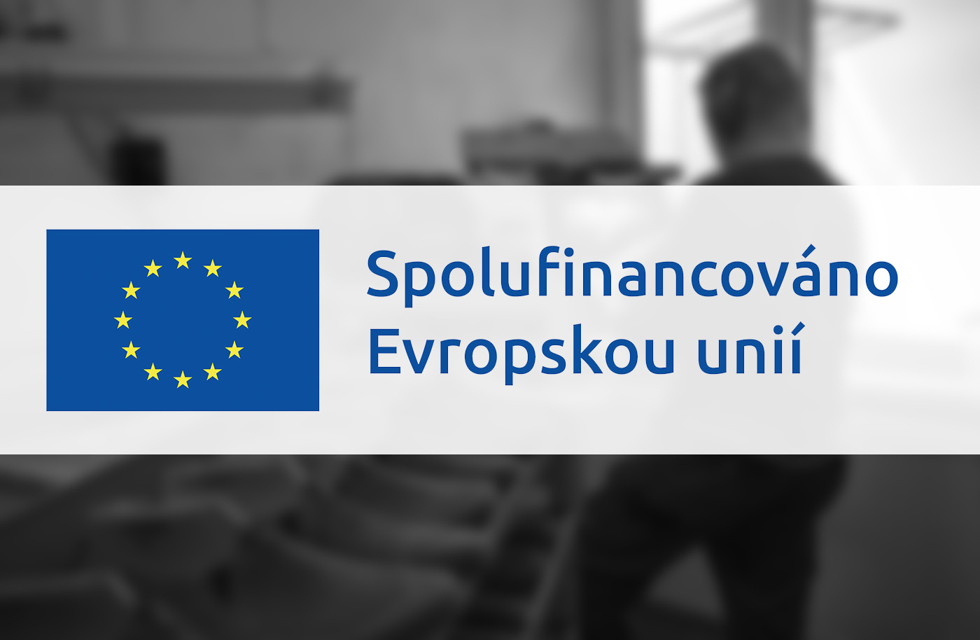LOGO EU