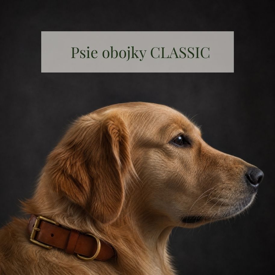 Kožené obojky pre psy — kolekcia CLASSIC