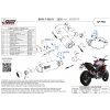 Výfuk MIVV GP PRO KARBON / BMW F900R (20-23)
