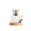 Refan 039 dle Manifesto / YSL