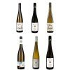 Degustační set 6x Riesling, Rheingau