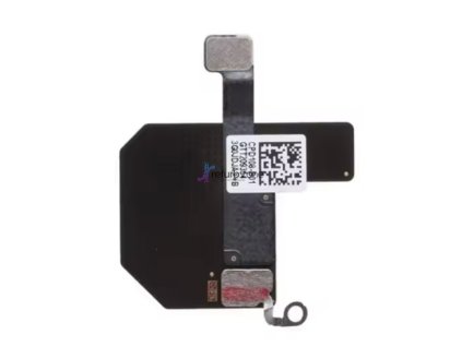 GPS flex pro iPhone 13