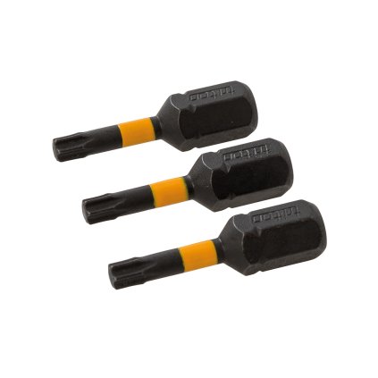 Sada bitů T15 25 mm 3 ks Triton 1