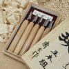 Sada japonských ručně-vyráběných řezbářských nožů AKIRA - 5 kusů
