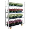 Dánský květinový vozík - 4 police (3ks - půlpaletový odběr) - pozink