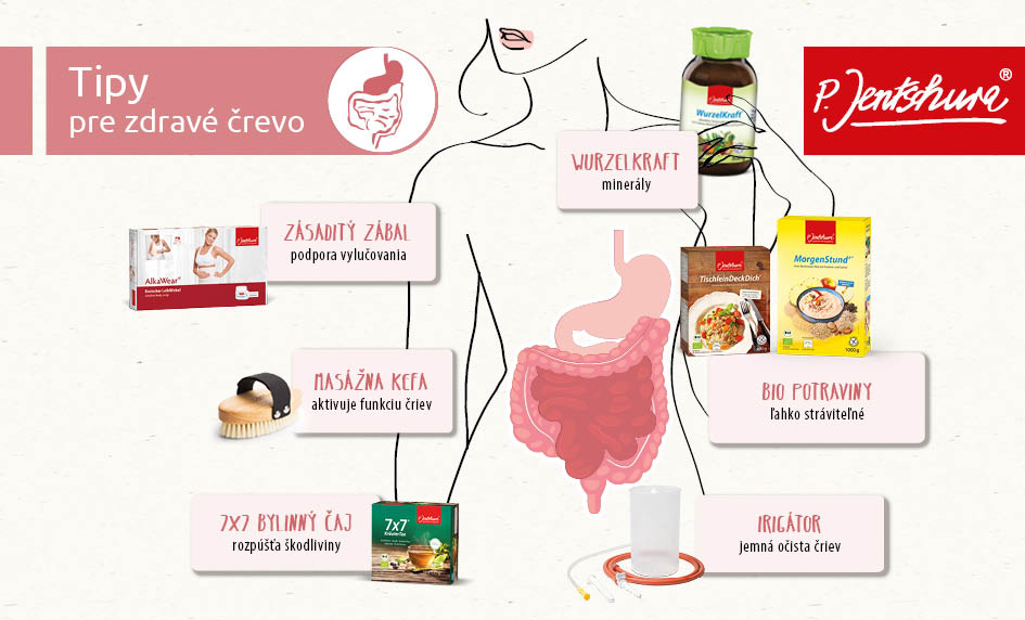 zdravé črevo, trávenie, mikrobióm