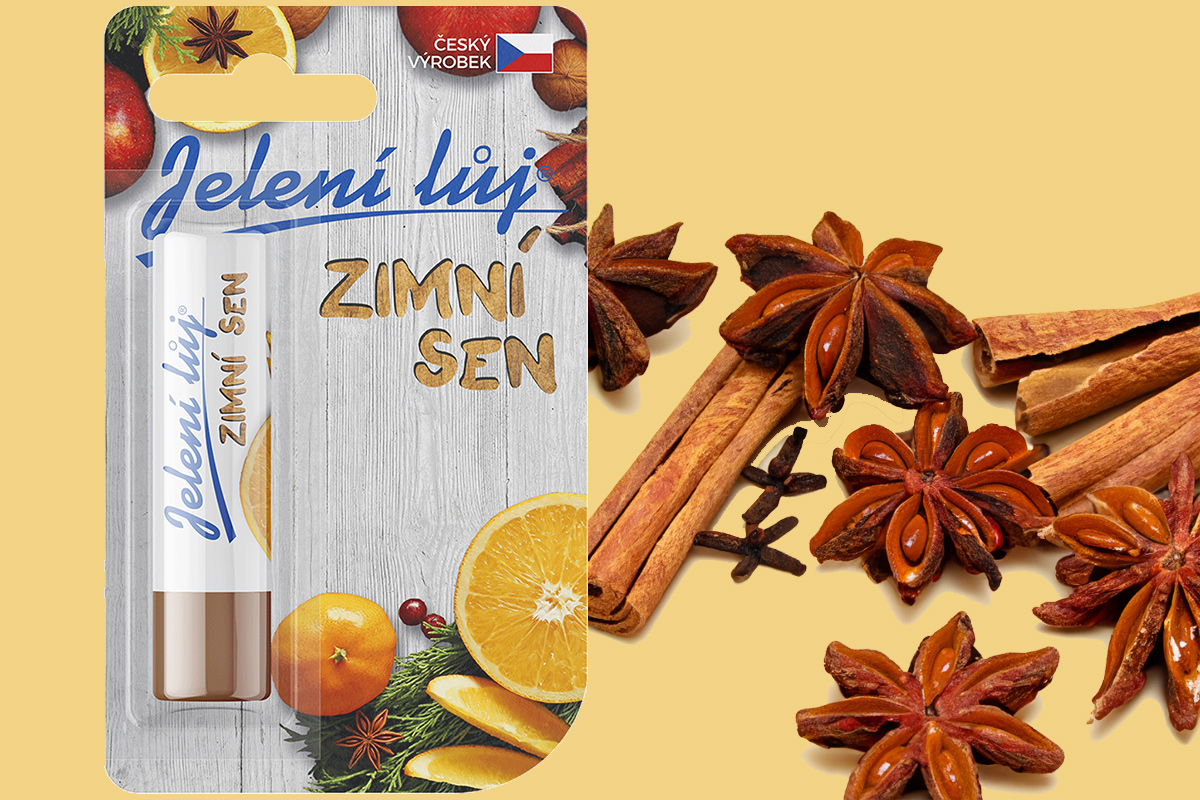 jl-zimni-sen