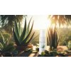 Noční krém s Aloe vera (50ml) | Šetrná péče o pleť