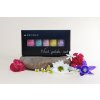 Pastel Nail Polish Set | Lak na nehty | Svěží letní odstíny | Profesionální vzhled | 5x 4 ml