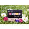 Pastel Nail Polish Set | Lak na nehty | Svěží letní odstíny | Profesionální vzhled | 5x 4 ml