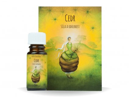 131 cedr