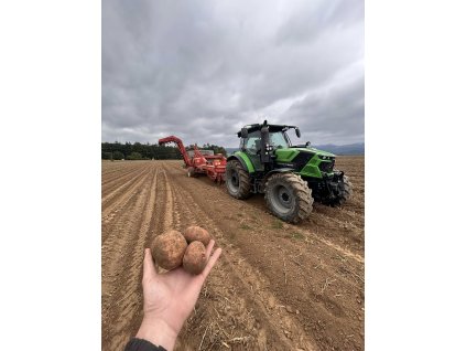 554573922 775814938394925 8880885425464399229 n