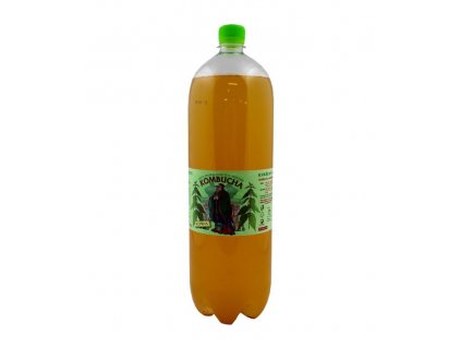 kombucha 2l kopriva stev