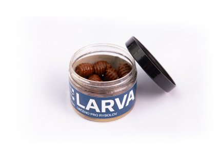 Škeble - Larvy
