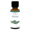 cosiMed esenciálny olej Eukalyptus - 30 ml