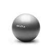 SKLZ Stability Ball, gymnastická lopta 55 cm, svetlo šedá