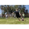 Tréninková pomůcka SKLZ Quickster Soccer Goall