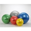 Exercise Ball PRO Series Group