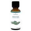 cosiMed esenciální olej Eukalyptus - 30 ml