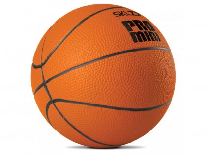 15579 sklz pro mini hoop ball basketbalovy mini mic 13 cm