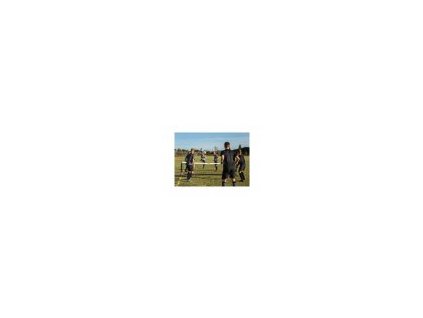ProTrainingSoccerVolleyNet Sticker v1