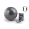 168 6 velky gymnasticky mic ledragomma