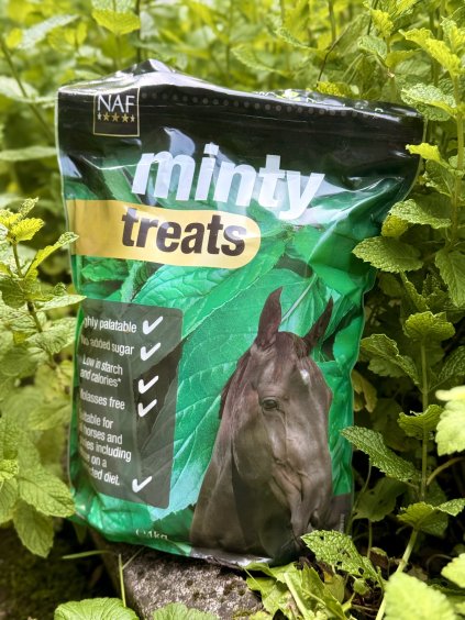 Minty treats mátové pamlsky, sáček 1kg