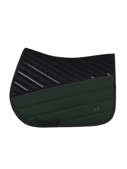 SADDLE JUMPING HUNTER 1