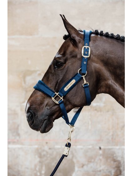 f88e1b6c00779172ec2cbe0c6fd74ff34aa3f79418014664616bdae497ce7f5d