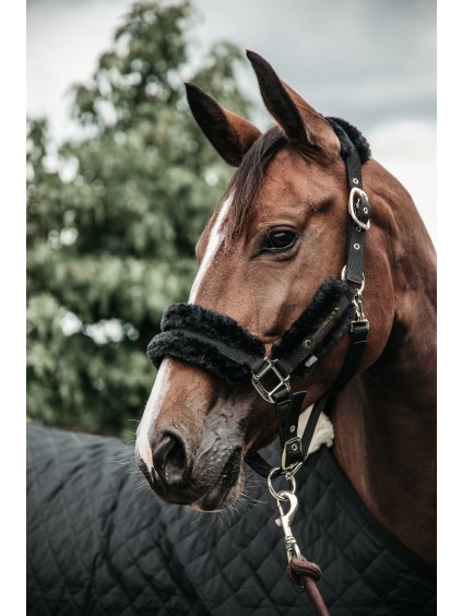 Ohlávka Kentucky Soft s beránkem, přírodní