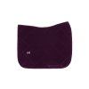 VELVET DRESSAGE 2 AME