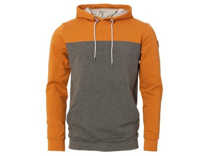 Verbascum ME49 ME50 1