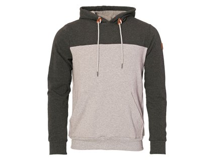 Verbascum ME36 ME42 1