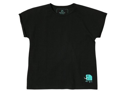 Heliconia U02 2406 1