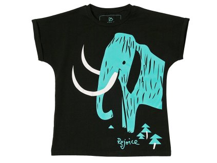 Heliconia U02 2405 1