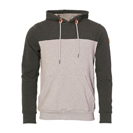 Verbascum ME36 ME42 1