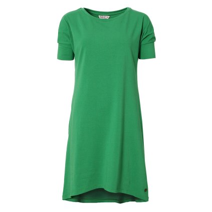 Magnolyophyta U226 1