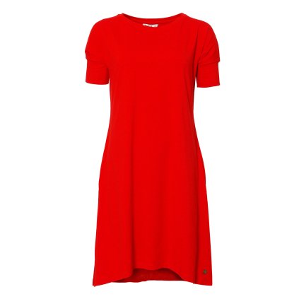 Magnoliophyta U245 1