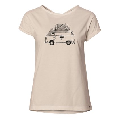 Doronicum U85 2302 1