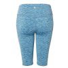 Polygonum Shorts ME76 3