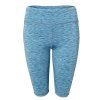 Polygonum Shorts ME76 1