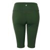 Polygonum Shorts U346 3