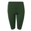Polygonum Shorts U346 1