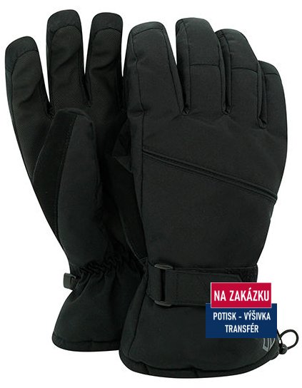 Hand In Waterproof Insulated Glove  G_DPG001