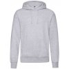 Classic Hooded Sweat  G_F421