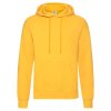 Classic Hooded Sweat  G_F421